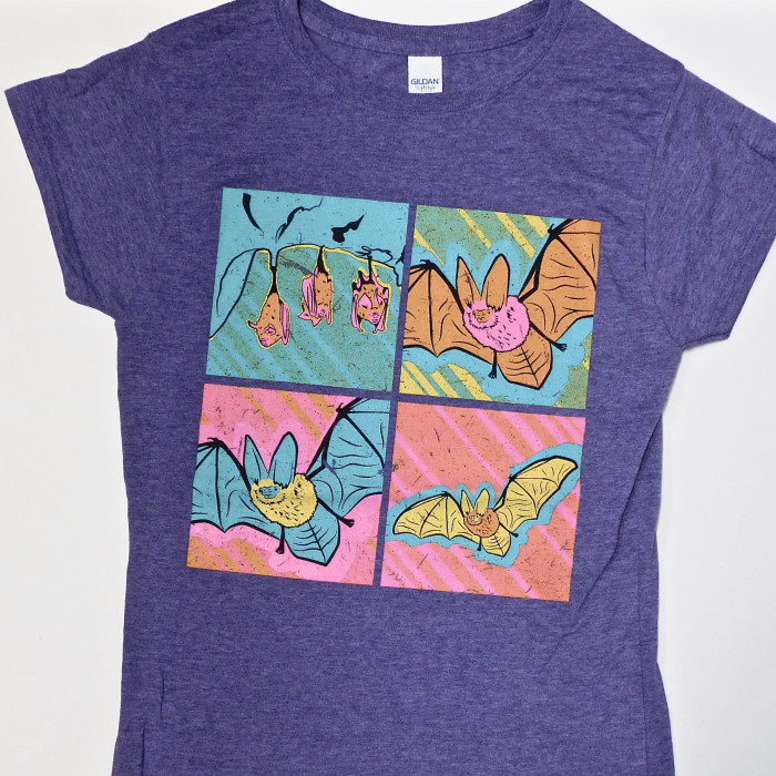 WarholBatLadiesSoftstyleTee