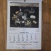 Senior Conflow Calendar Miners Lamp Collectors Series (#3-6, 1985-1987) sold individually