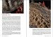 Shapes &amp; Voids : the caver's handbook for "reading" caves 