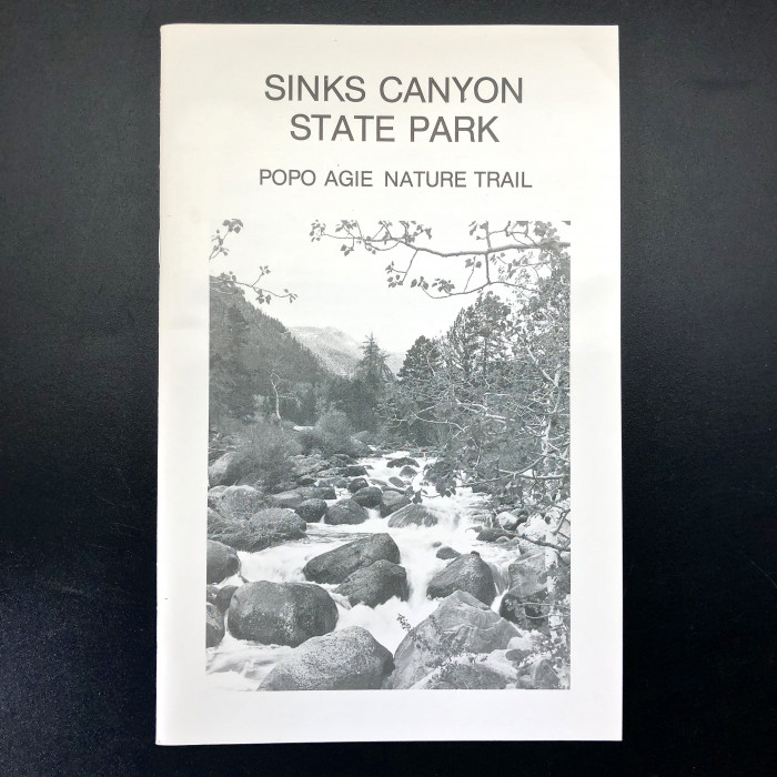 SinksCanyonStatePark