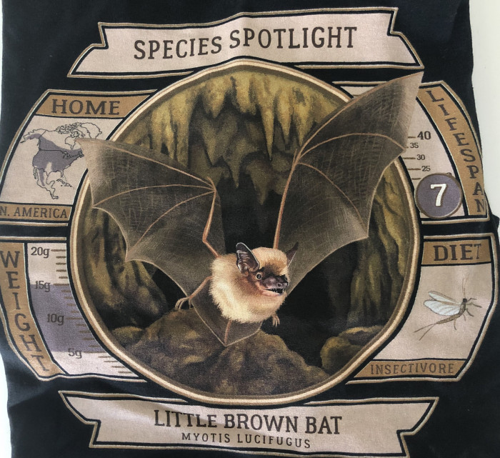 Species Spotlight Tee Shirt - Little Brown Bat - Product Image