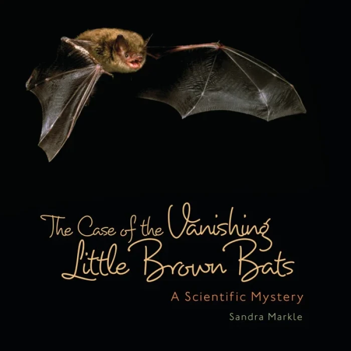 TheCaseoftheVanishingLittleBrownBats-AScientificMystery