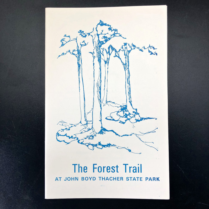 TheForestTrailatJohnBoydThacherStatePark