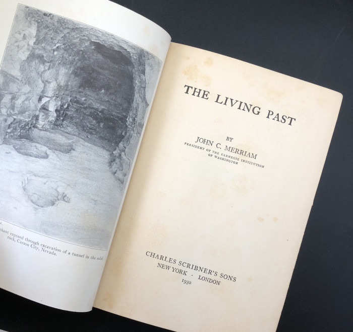 TheLivingPast