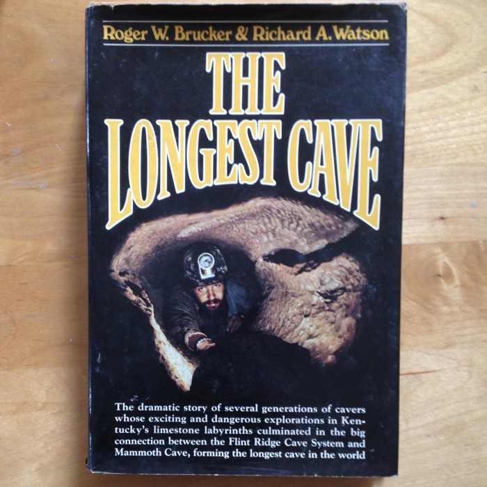 TheLongestCave