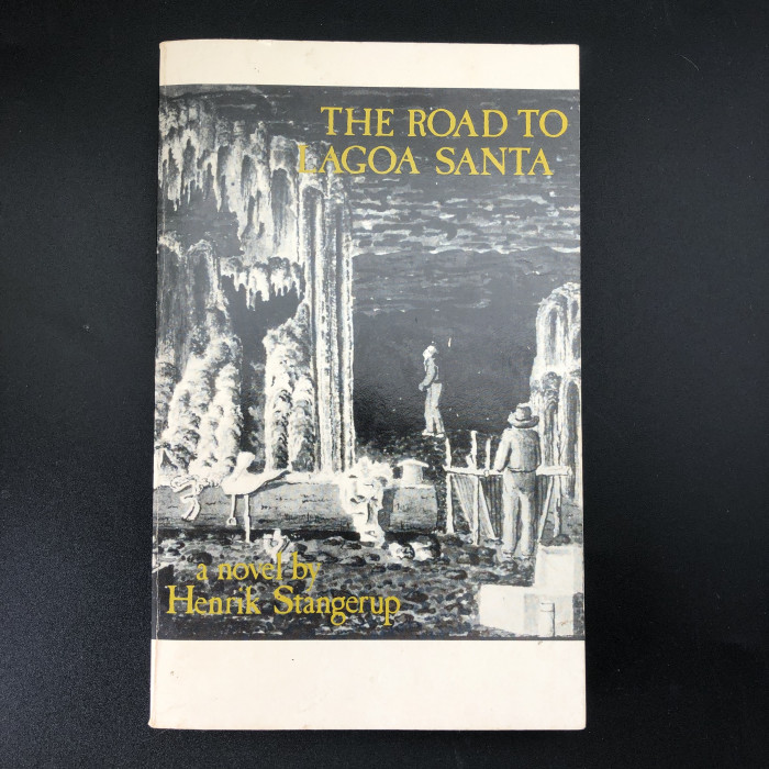 TheRoadtoLagoaSanta