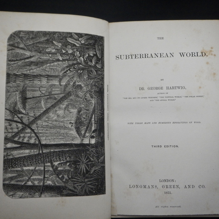 The Subterranean World