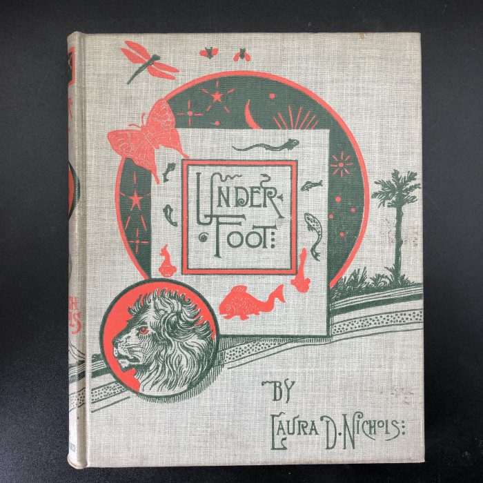 Under Foot What Harry and Nelly Learned of the Earth's Treasures Copy #1 - Product Image