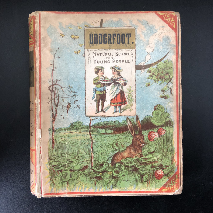 Under Foot What Harry and Nelly Learned of the Earth's Treasures Copy #5 - Product Image