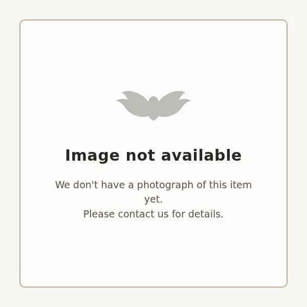The World Of Bats - Product Image